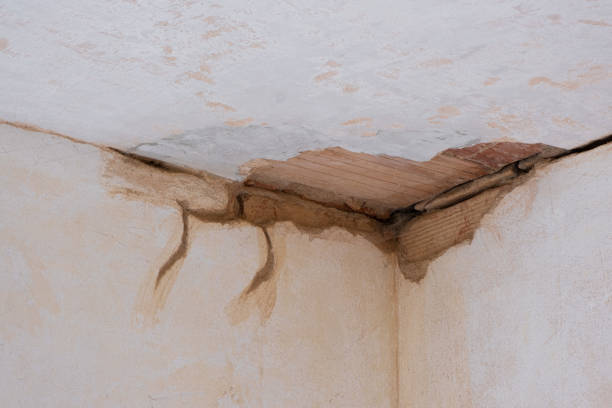 Best Water damage restoration near me  in South Whitley, IN