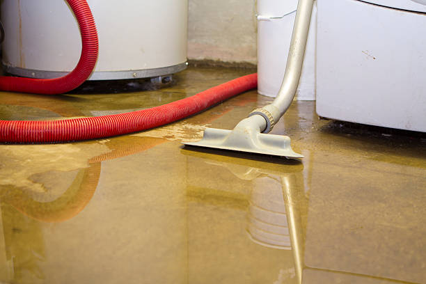 Best Sewage cleanup and water damage restoration  in South Whitley, IN