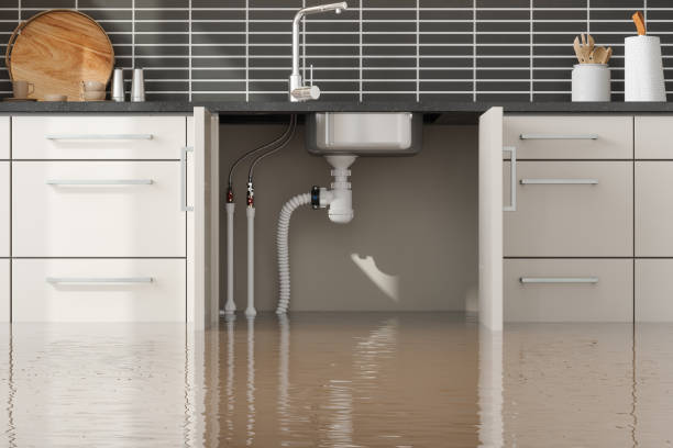 Best 24-hour water damage restoration  in South Whitley, IN