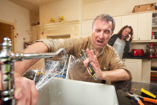 Best Flood restoration services  in South Whitley, IN